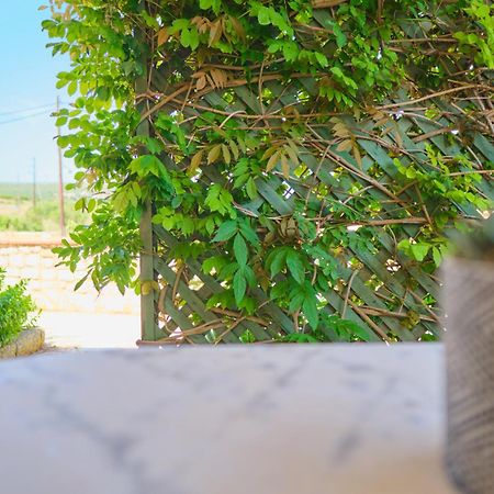 Koralia Apartments Kastrisianika Dış mekan fotoğraf