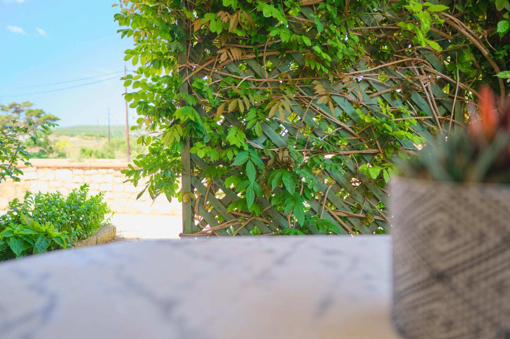 Koralia Apartments Kastrisianika Dış mekan fotoğraf